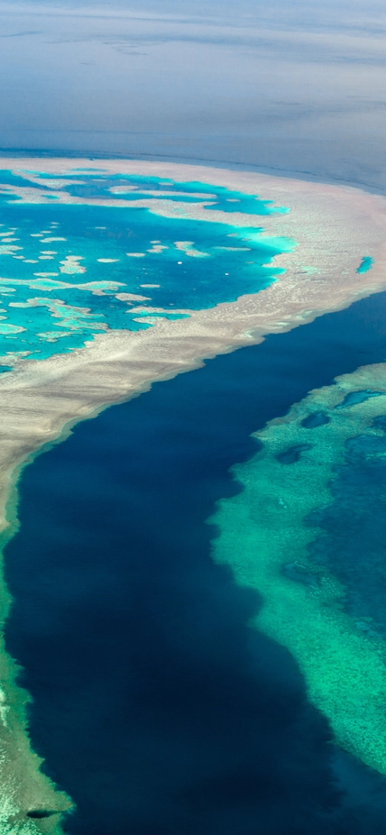 Coral reef overhead view showing brilliant aquas and deep blues. Image purchased from shutterstock.