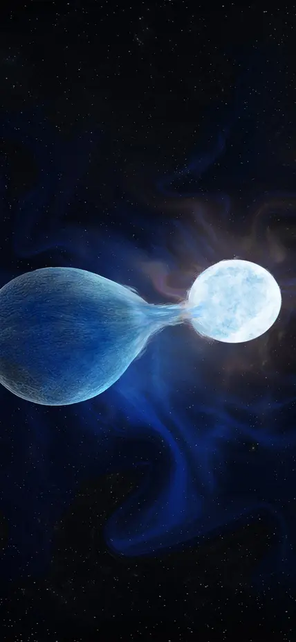 An artist’s conception of the hydrogen being stripped from one half of a binary system, leaving a very hot, helium rich exposed core that will eventually explode as a hydrogen-poor core collapse supernova. Credit: by Navid Marvi, courtesy of the Carnegie Institution for Science. 
