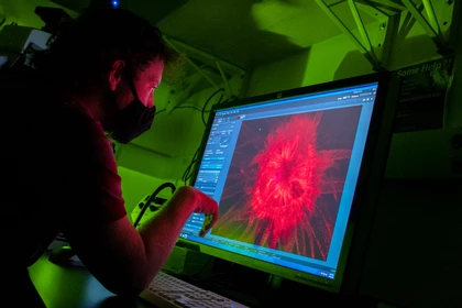 A scientist studies the screen in a darkened lab showing a red, magnified image of a sea anemone