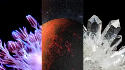 A triptych with purple soft coral on the left, a red planet in the center, and clear quartz crystals on the right