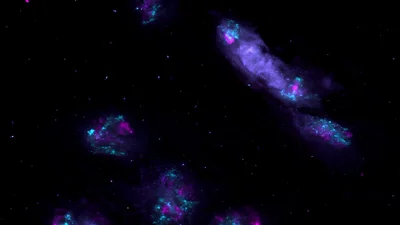 2024 | Galactic Echoes in the Heart of Cells