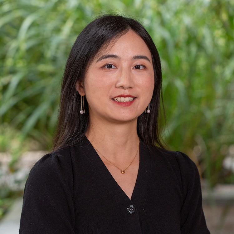 Jill Yang Portrait