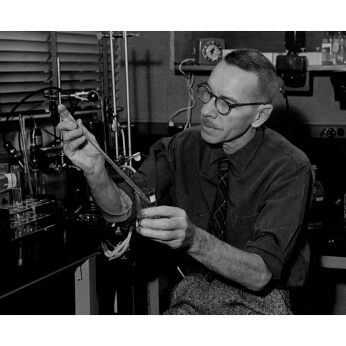 Alfred Hershey at work in the lab.