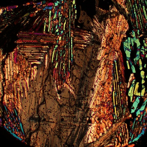 Interior slice of a meteorite courtesy of Nicole Nie. 