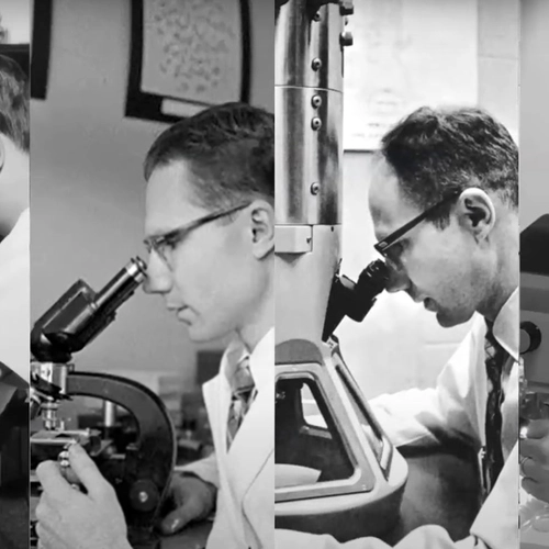 Joseph Gall at the microscope