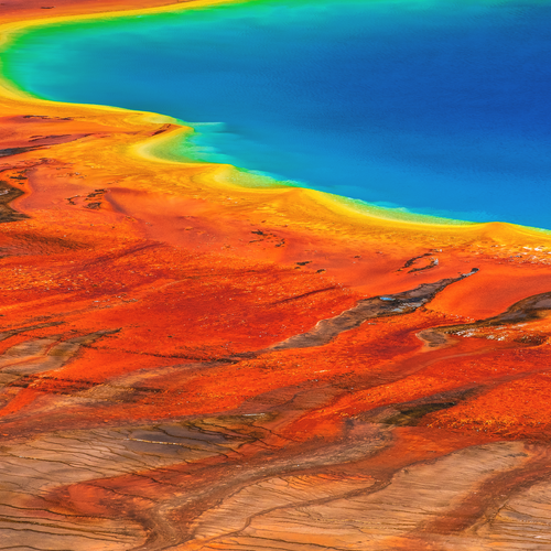 Microbial mats surround a hot spring in Yellowstone National Park