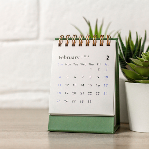 a desk calendar sits next to a potted plant